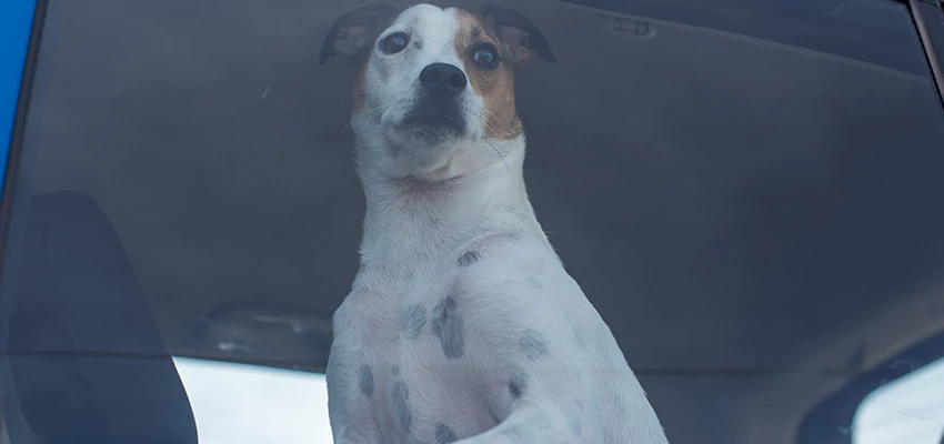 Car Lockout Solutions in Rancho Cordova, California